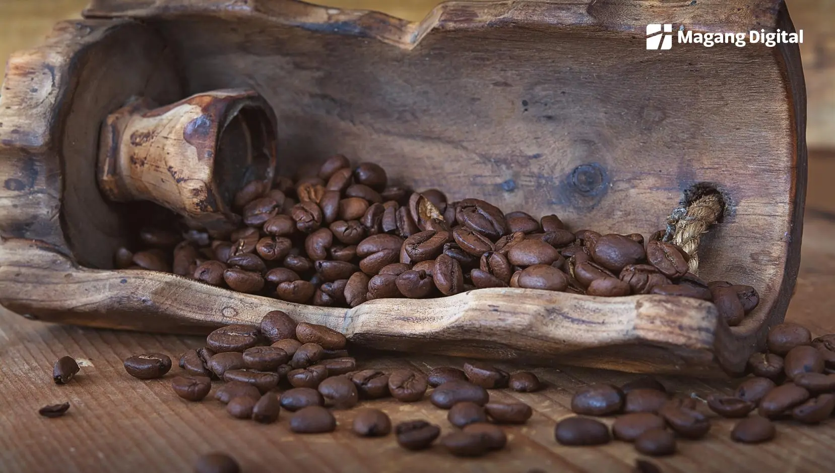 Kayu Kopi di Luar Negeri