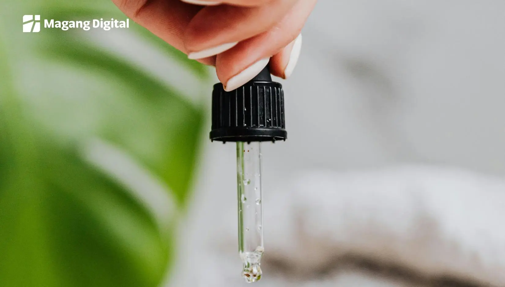 Syarat ekspor minyak Nilam berkualitas