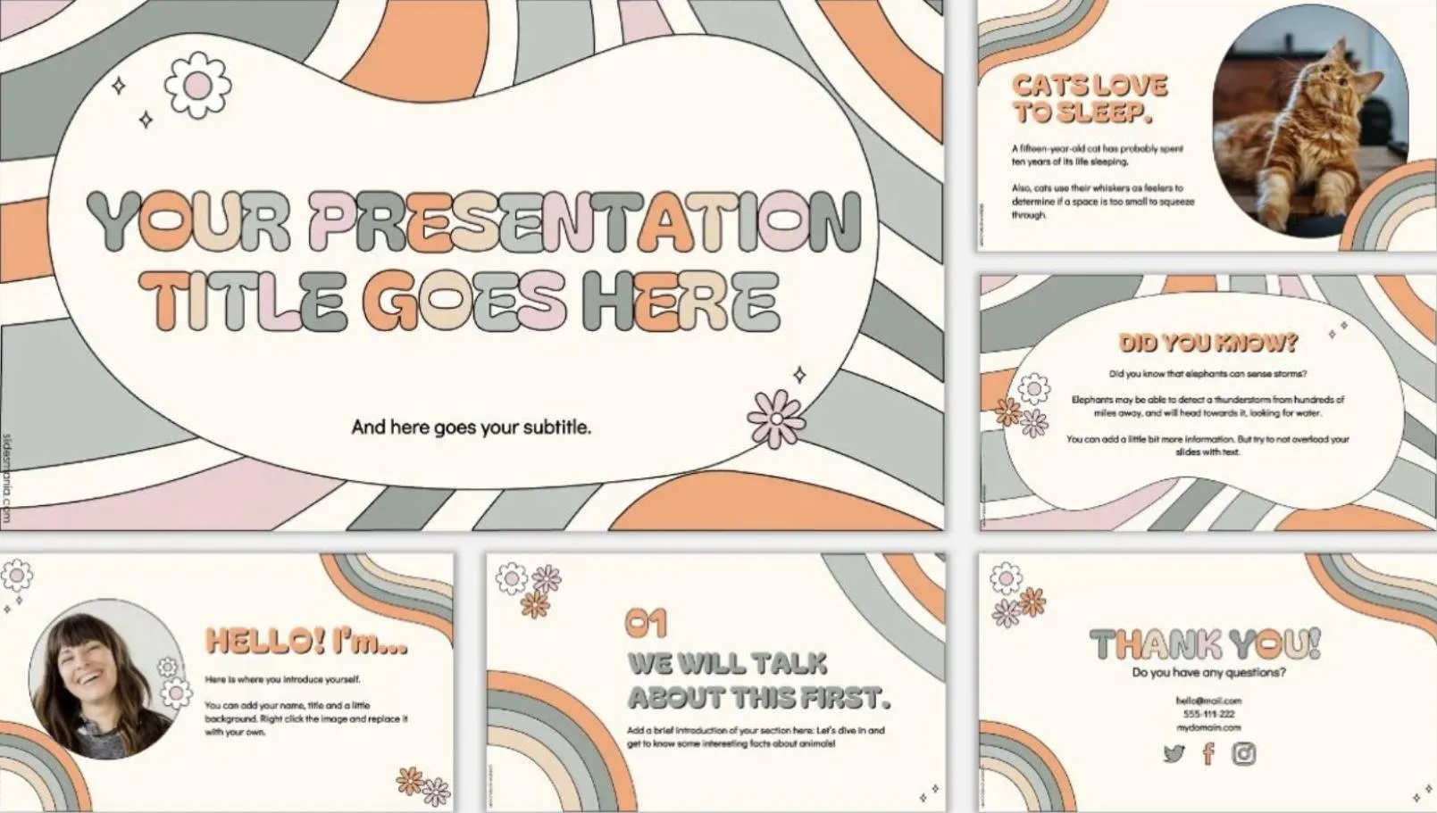 Daisy Playful and Groovy