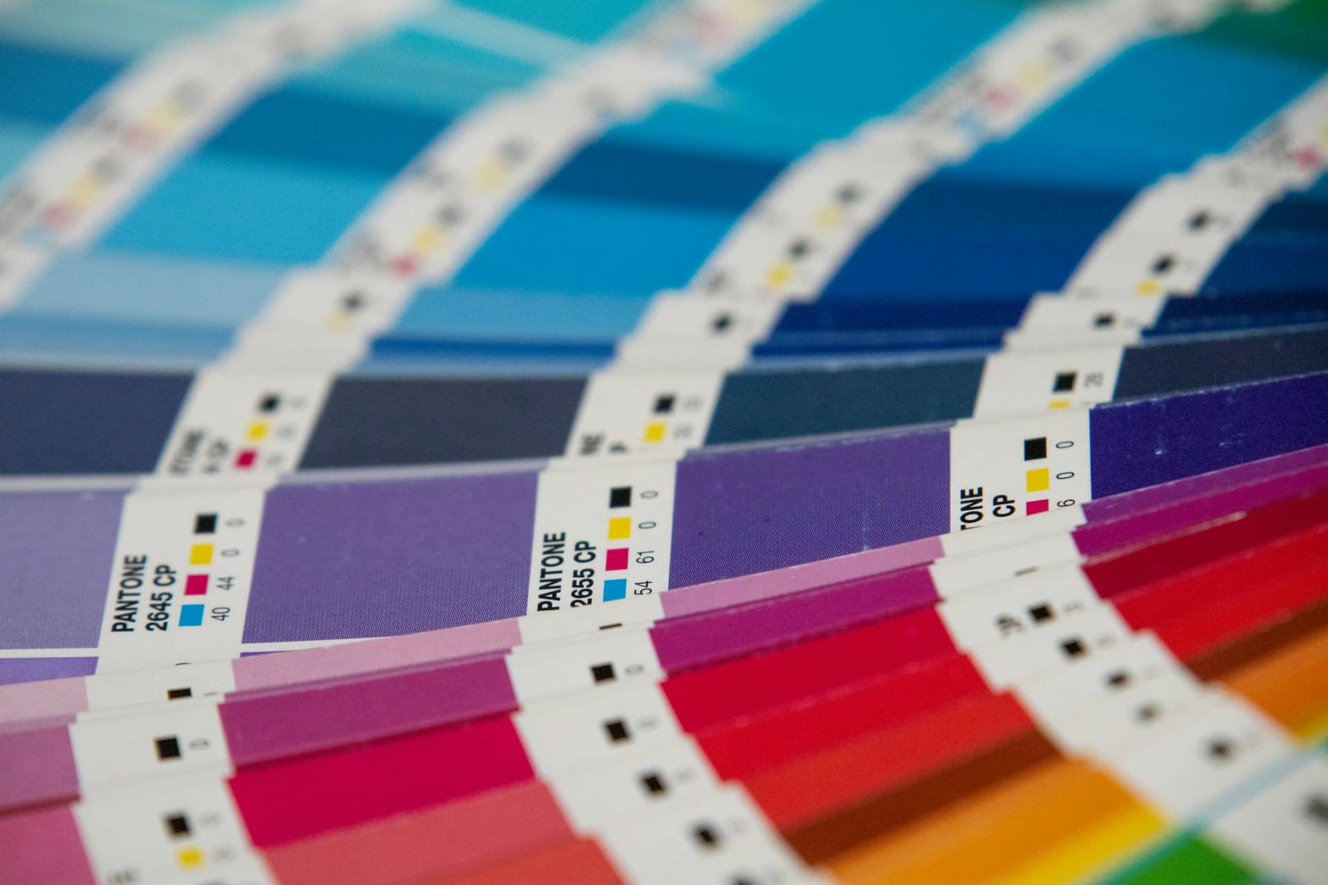 Apa Itu Palette