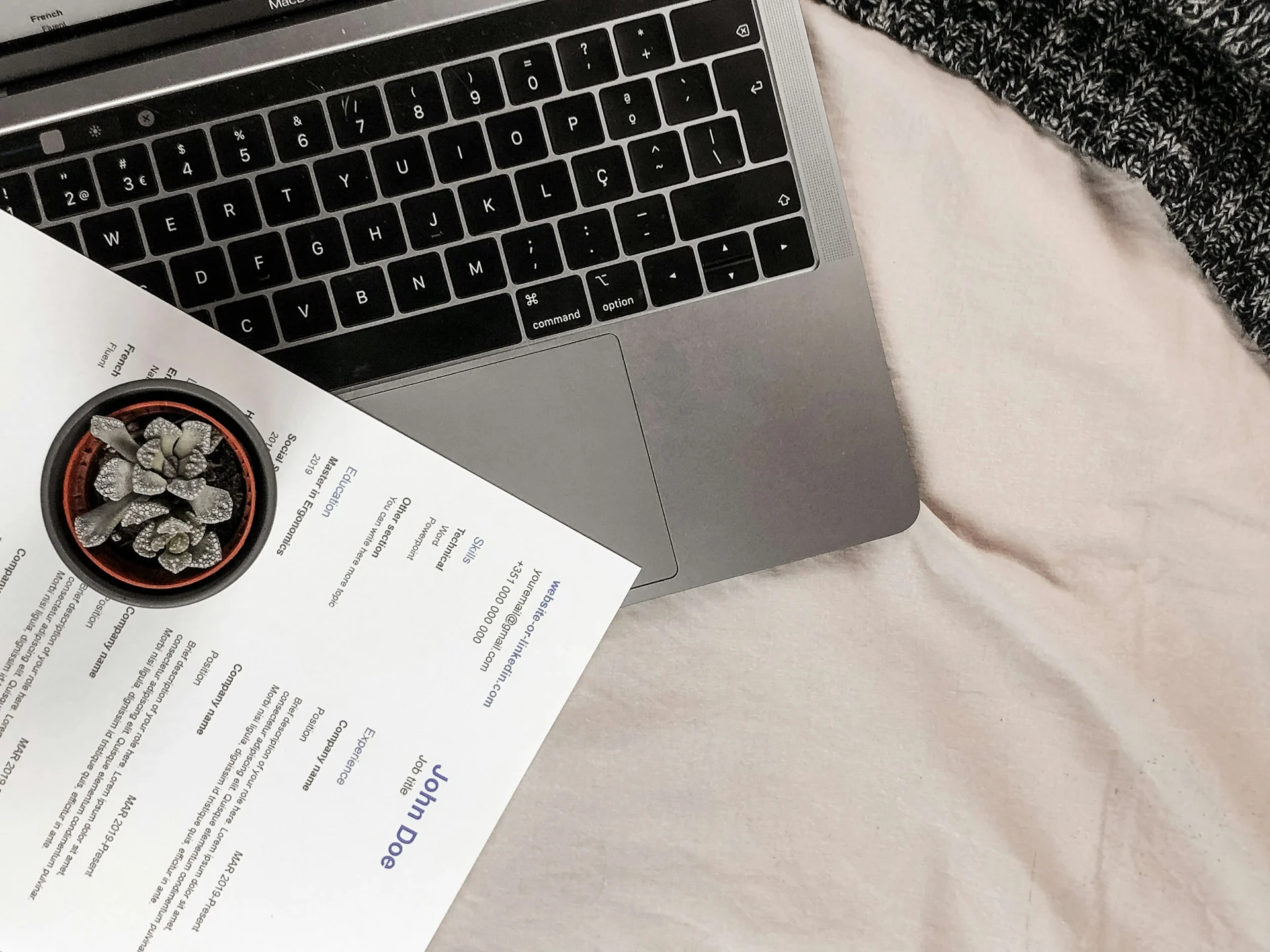 Cara Membuat Curriculum Vitae di Canva